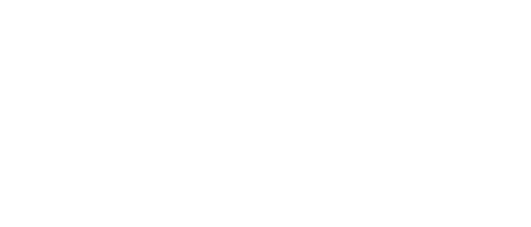 BSG Auto Parts
